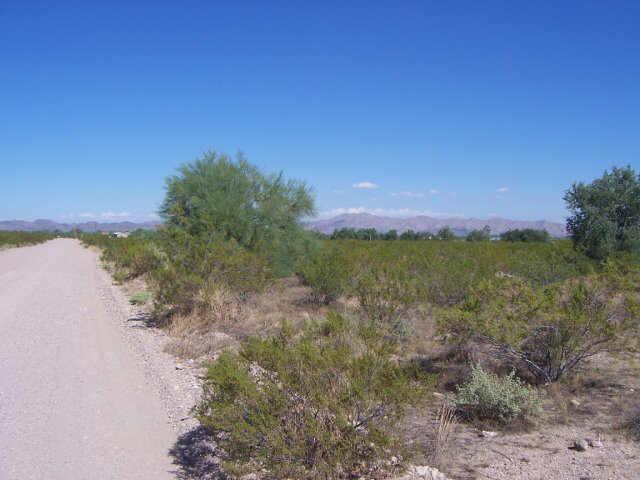 42300 W Rose Ln. #798, Tonopah, AZ 85354