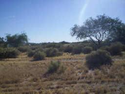 118 S Airport Rd., Buckeye, AZ 85326