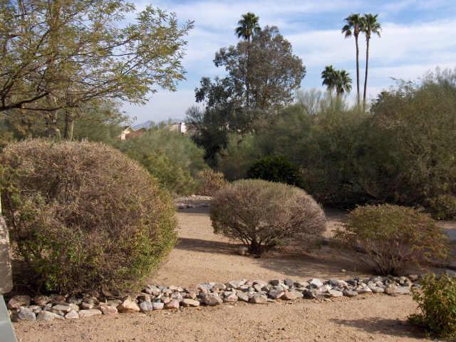 17403 N Caliente Dr., Fountain Hills, AZ 85268