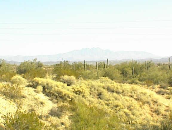 10401 N Saguaro Blvd. #236, Fountain Hills, AZ 85268