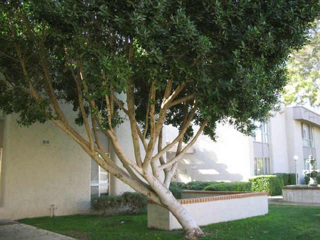 1701 W Tuckey Ln. #121, Phoenix, AZ 85015