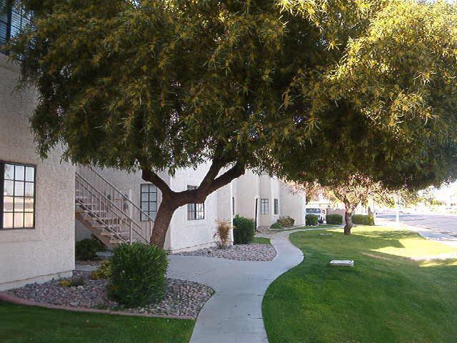 930 N Mesa Dr. ##1099, Mesa, AZ 85201