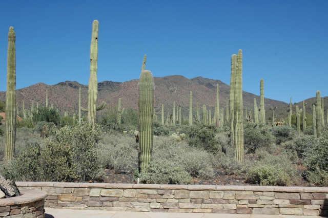 6936 E Morningstar Rd., Cave Creek, AZ 85331