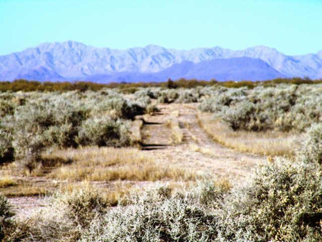 381 W Van Buren St. #53, Tonopah, AZ 85354