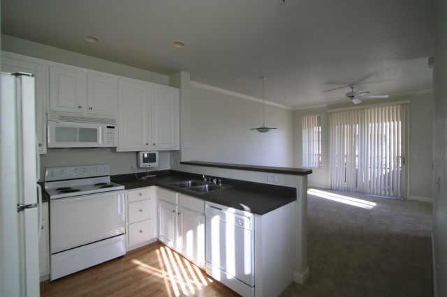 4455 E Paradise Village Pkwy. #1178, Phoenix, AZ 85032