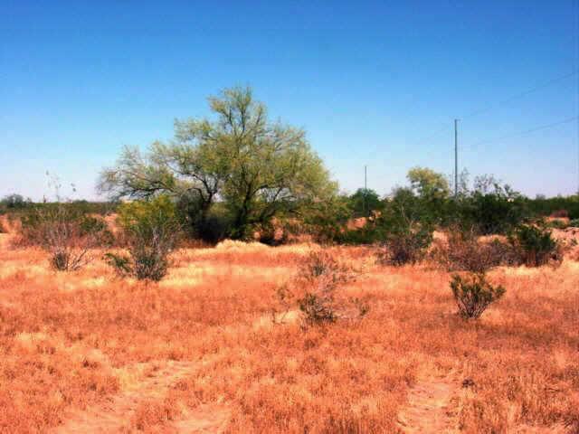 1 E Quail Run Rd., Maricopa, AZ 85239