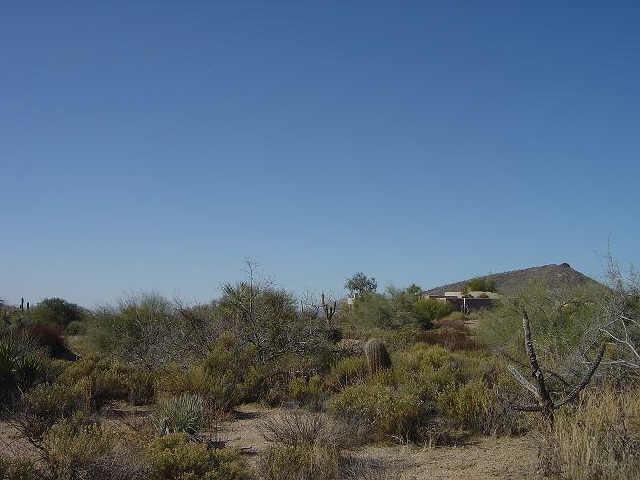 38475 N 102nd St. #462, Scottsdale, AZ 85262