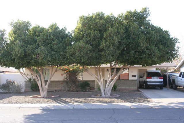 406 N Meadows Dr., Chandler, AZ 85224