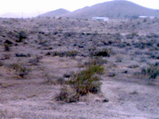 256 W Olney Ave., Tonopah, AZ 85354