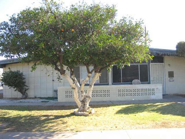 3131 N 67th Pl., Scottsdale, AZ 85251