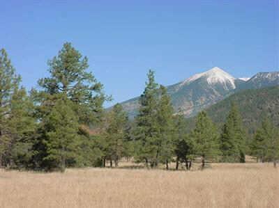 W Lockett Ranches Parcel 15k #15K, Flagstaff, AZ 86001