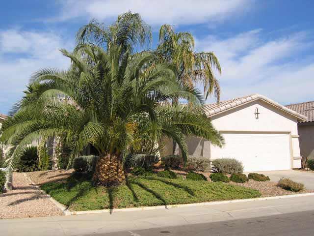 10810 W Citrus Grove Way, Avondale, AZ 85392