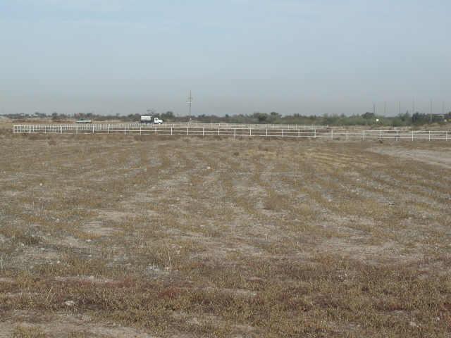 7640 S 313th Ave. #B, Buckeye, AZ 85326