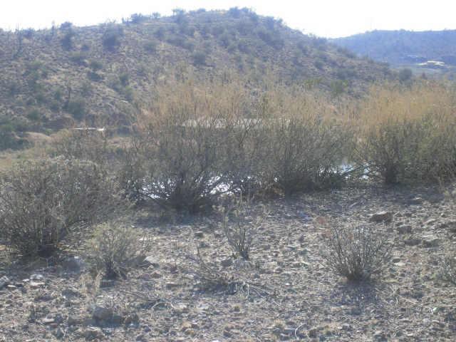 16549 E Trevino Dr. #5, Fountain Hills, AZ 85268