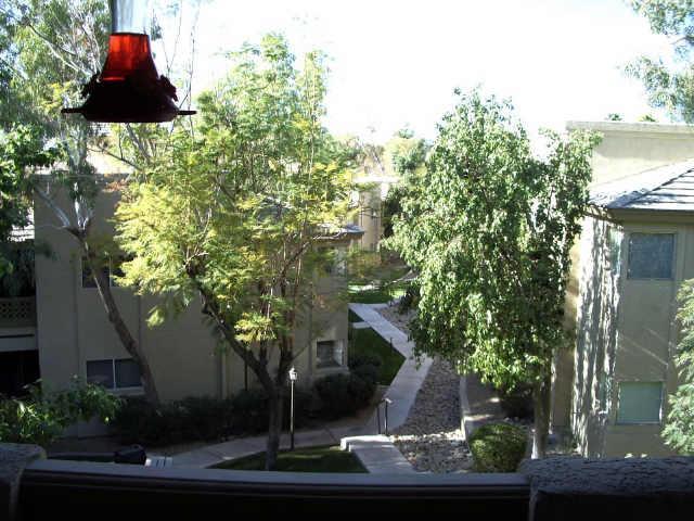 1880 E Morten Ave. #214, Phoenix, AZ 85020