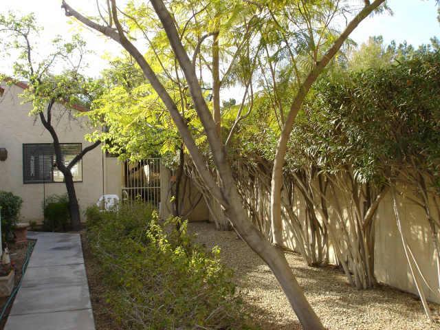 15020 N 40th St. #7, Phoenix, AZ 85032