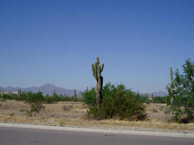 19 W Piedmont Ave. #1, Phoenix, AZ 85041