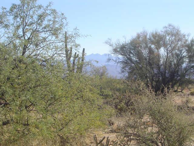 139 E Olesenxx4%!! St., Rio Verde, AZ 85262