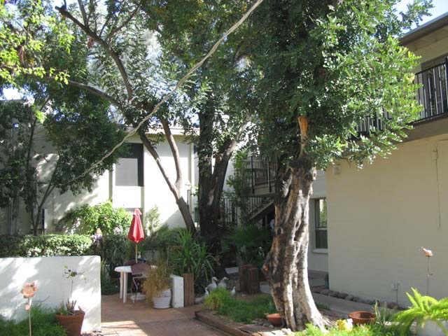 4131 E Camelback Rd. #30, Phoenix, AZ 85018