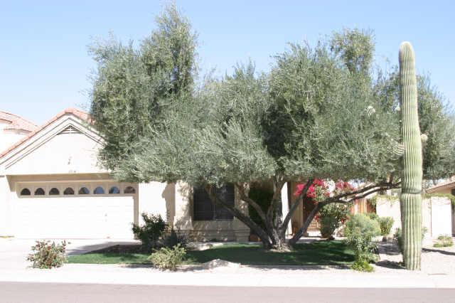 3914 E White Aster St., Ahwatukee, AZ 85044