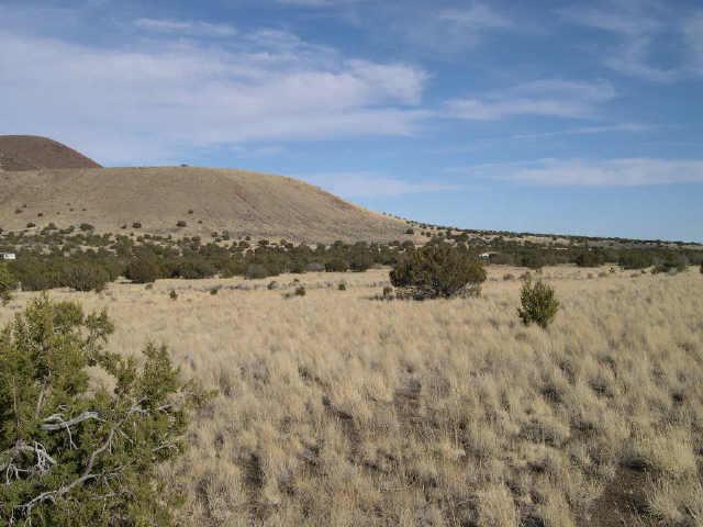 24 E Alpine Ranches Rd., Flagstaff, AZ 86004