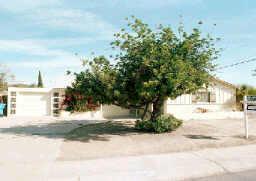 5510 W Avalon Dr., Phoenix, AZ 85031