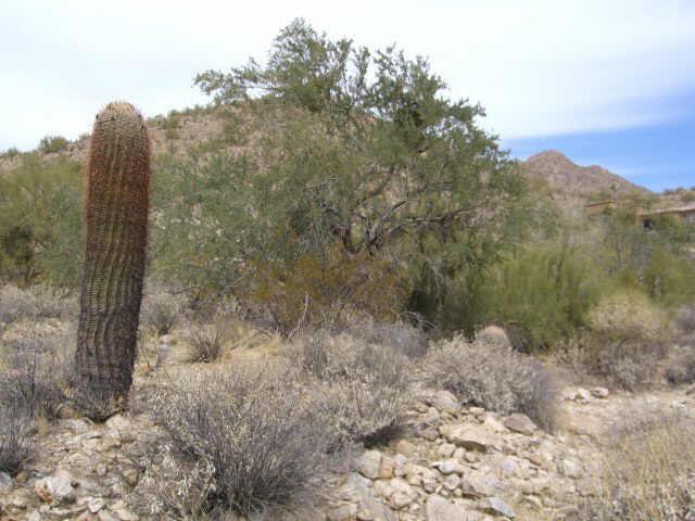 13117 E Cibola Rd. #22, Scottsdale, AZ 85259