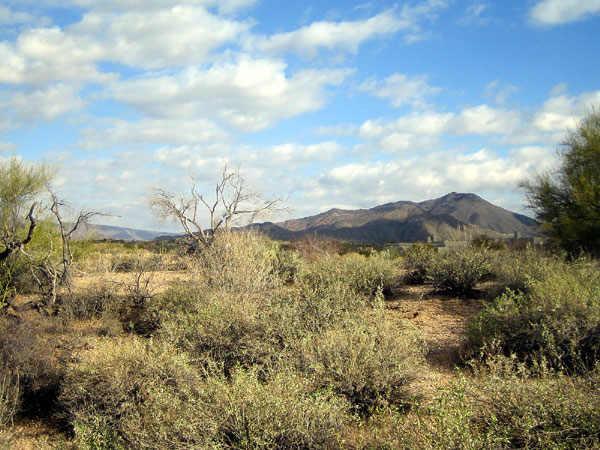 9121 E Andora Hills Dr. #156, Scottsdale, AZ 85262