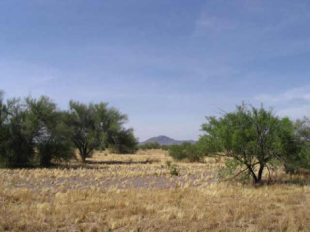 11500 S 419th Ave. #None, Tonopah, AZ 85326