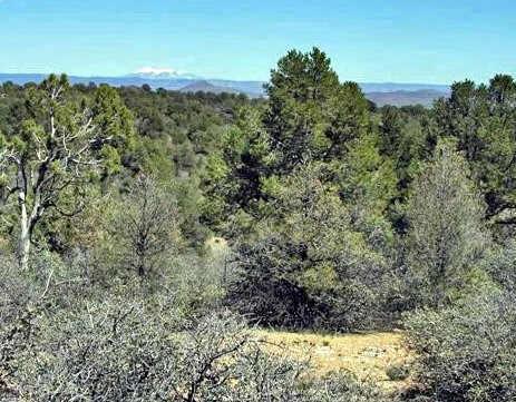 Road 2 South #C, Prescott, AZ 86305