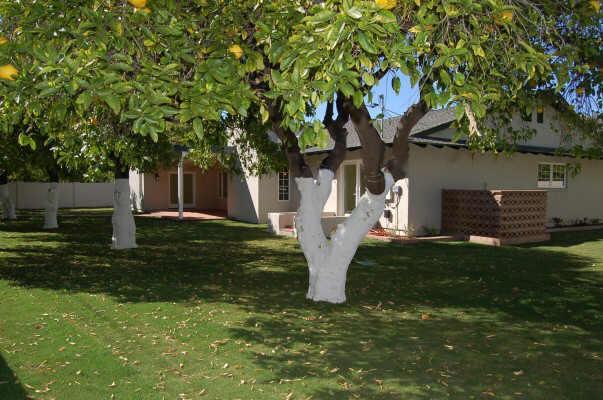 6501 E Monterosa St., Scottsdale, AZ 85251