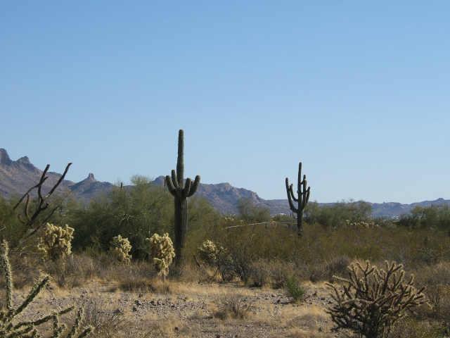 Mclellan & Signal Butte, Mesa, AZ 85207