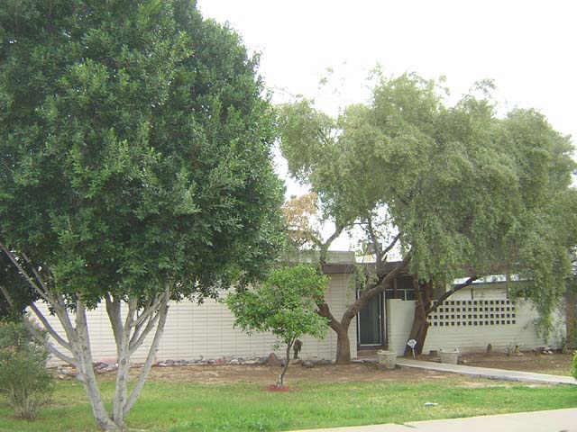 1033 E Nielson Ave., Mesa, AZ 85204
