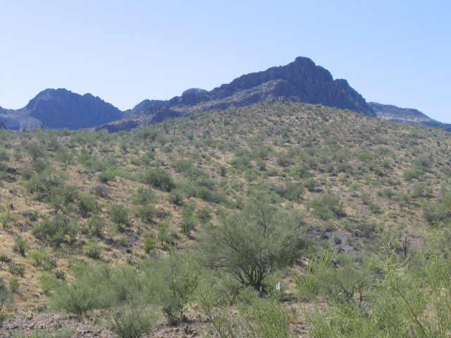N Cow Creek Rd. #5, Morristown, AZ 85342