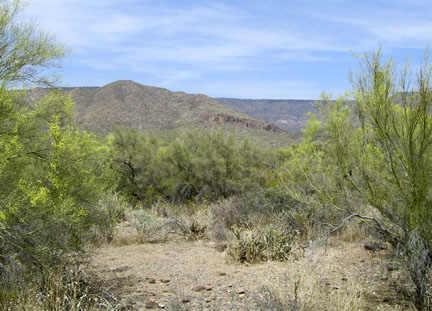 45620 N 24th St., New River, AZ 85087