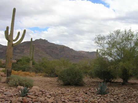 10705 E Cloudview Ave., Gold Canyon, AZ 85118