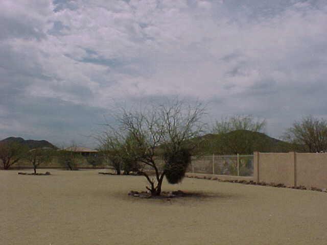 2309 W Mesquite (desert Hills) Ave., Phoenix, AZ 85086