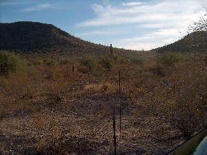 Ironwood Ave. #001, Why, AZ 85321
