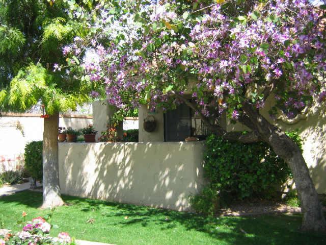 3441 N 31st St. #103, Phoenix, AZ 85016