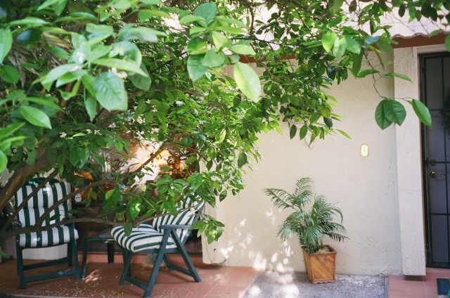 3223 S College Ave., Tempe, AZ 85282