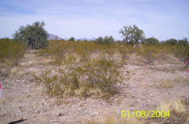 5680 W 416th Ave. #592, Tonopah, AZ 85354