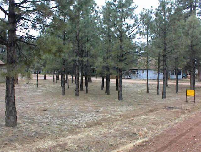 2867 Wahoo Rd. #247, Heber, AZ 85933