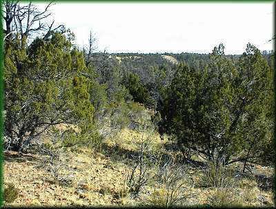 81 Miriam's Way #081B, Heber, AZ 85928