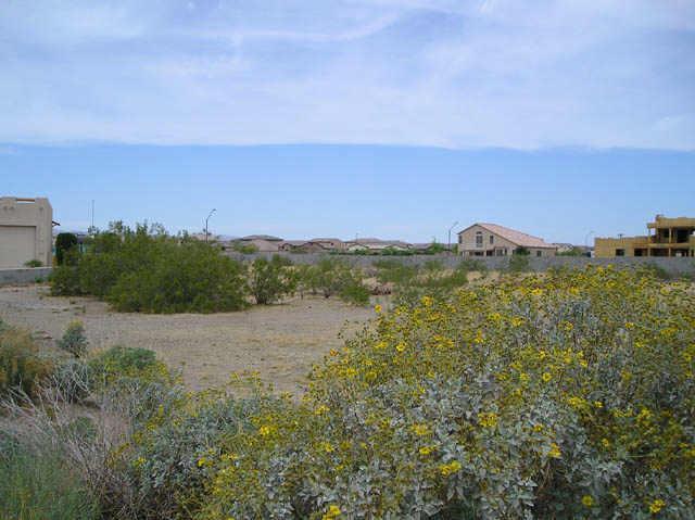 13008 W San Juan Ave. #22, Litchfield Park, AZ 85340
