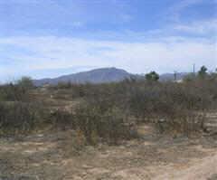 W Ray Rd. #8, Aguila, AZ 85320