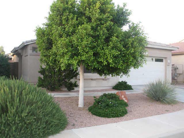9864 E Forge Ave., Mesa, AZ 85208