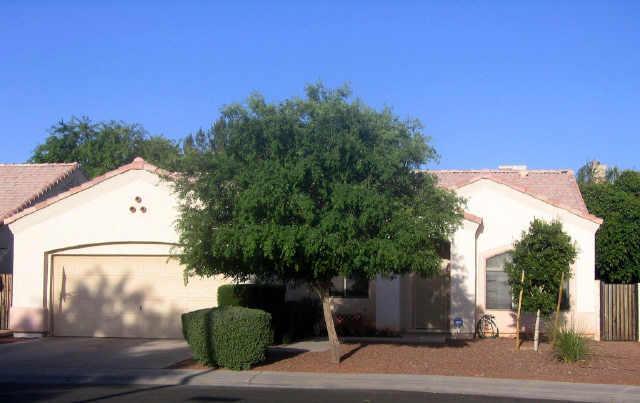 281 S Forest Dr., Chandler, AZ 85226