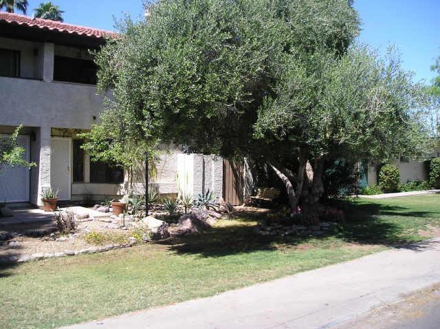 1036 S Mariana St. #9, Tempe, AZ 85281