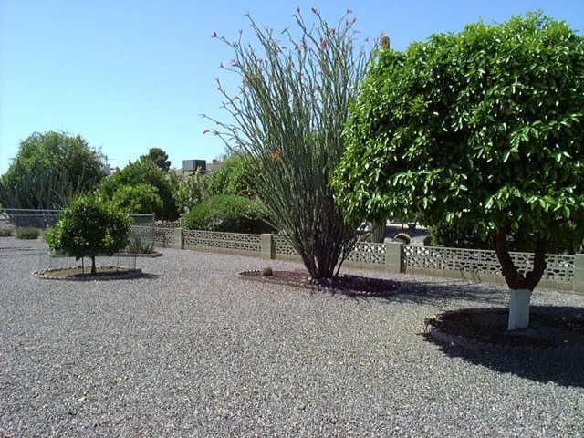 10505 W Concho Cir., Sun City, AZ 85373