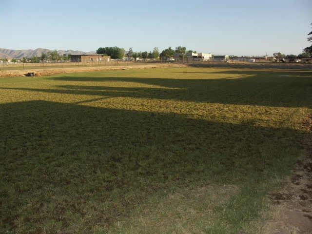 6808 N 175th Ave., Waddell, AZ 85355